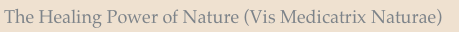 The Healing Power of Nature (Vis Medicatrix Naturae)
