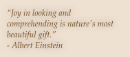 “Joy in looking and comprehending is nature's most beautiful gift.” 
- Albert Einstein